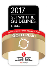 2017 Award image for Get With The Guidelines® - Stroke Gold Plus Quality Achievement Award