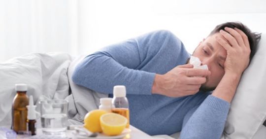 Common Flu Myths