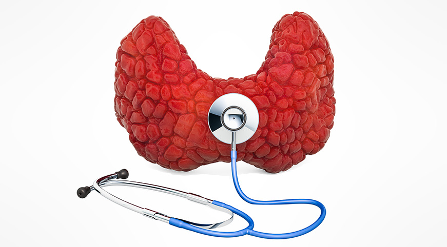 Red thyroid organ with a stethoscope placed against it